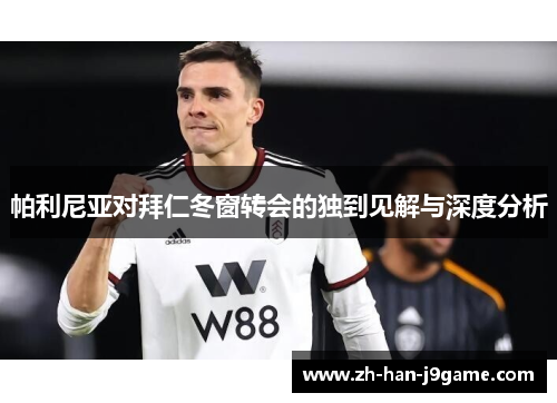 帕利尼亚对拜仁冬窗转会的独到见解与深度分析 帕利尼亚对拜仁冬窗转会的独到见解与深度分析