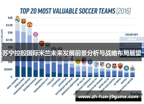 苏宁控股国际米兰未来发展前景分析与战略布局展望