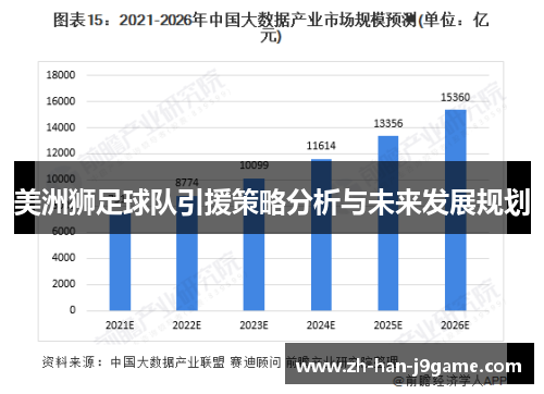 美洲狮足球队引援策略分析与未来发展规划