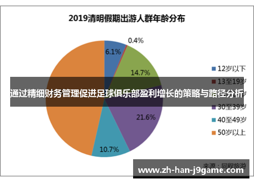 通过精细财务管理促进足球俱乐部盈利增长的策略与路径分析 通过精细财务管理促进足球俱乐部盈利增长的策略与路径分析